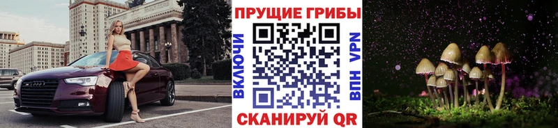 omg вход  Скопин  Галлюциногенные грибы Psilocybine cubensis  где найти наркотики 